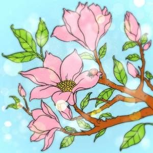 Meet your Posher, Kiara